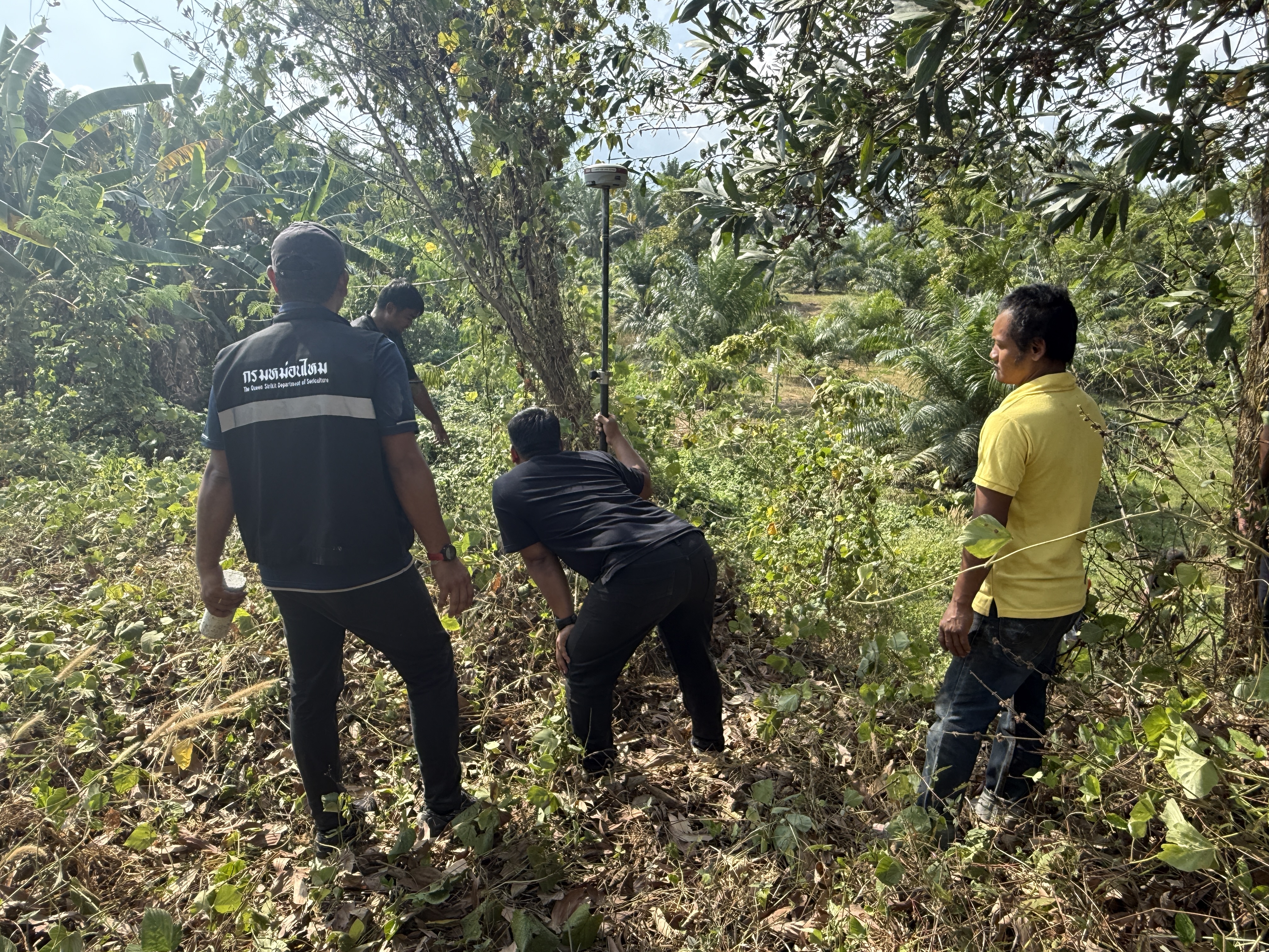 title - วันจันทร์ที่ 19 มกราคม 2569 นายนิกร ไพริน ปฏิรูปที่ดินจังหวัดชุมพร มอบหมายให้ นายพิษณุ บุญแนบ ผู้อำนวยการกลุ่มงานช่างและแผนที่ พร้อมด้วย เจ้าหน้าที่ ส.ป.ก.ชุมพร ลงพื้นดำเนินการรังวัดที่ดิน 